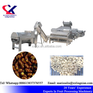 Equipo de Procesamiento de Jugos de Frutas a Gran Escala, Línea de Procesamiento de Jugo de Lichi de <span class=keywords><strong>3</strong></span> T/h - Product Image 6