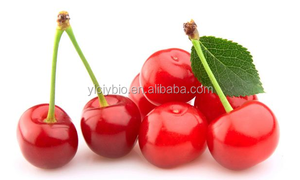 バルクアセロラチェリーエキスパウダー17%25% ビタミンCパウダー - Product Image 4