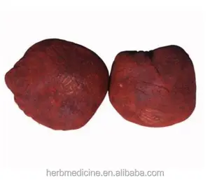100% naturale nuovo Daemonorops draco resine di frutta polvere di sangue in vendita