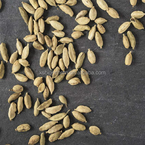 GMP alta calidad Natural Extracto de semilla de cardamomo/cardamomo Aetherolea - Product Image 4
