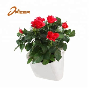 Nouveau auto-arrosage plante en plastique pot <span class=keywords><strong>jardinière</strong></span> <span class=keywords><strong>suspendue</strong></span> - Product Image 2