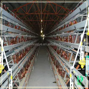 La avicultura batería precio jaulas pájaros, jaula pollo gallinero, automático automático multi-tier jaulas para pollos