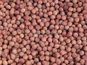 RIDDHI SIDDHI Bois de Santal Mala 108 Perles SWB-20 - Product Image 2