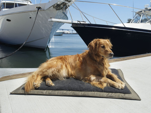 De Viaje de alta calidad cama para perro con impermeable y antideslizante tela en la parte inferior portátil de perro y lavable a máquina - Product Image 2