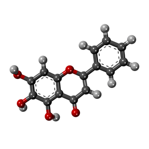 Yüksek Kaliteli GMP standart Scutellaria Baicalensis Özü <span class=keywords><strong>Baicalein</strong></span>/CAS: 491-67-8 - Product Image 2