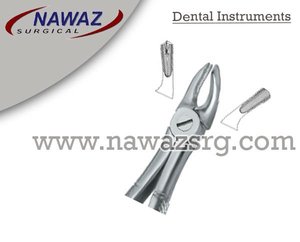 Forceps d'extraction dentaire Fig.39 R, manuel, acier inoxydable de haute qualité, certifié CE, logo personnalisé, instruments dentaires - Product Image 2