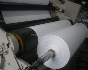 Feuille de protection en plastique noire et blanche anti-UV de 100, 110, 120, 150, 180, <span class=keywords><strong>200</strong></span>, 250 <span class=keywords><strong>microns</strong></span> <span class=keywords><strong>pour</strong></span> <span class=keywords><strong>serre</strong></span> occultante - Product Image 5