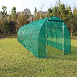Tienda de jardín Polytunnel Orangery al por mayor fácil DIY Hobby Casa de flores invernadero marco metálico madera tratada a presión tipo natural - Product Image 2