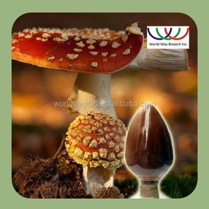 10% de Polisacáridos de Ganoderma Lucidum Karst. <span class=keywords><strong>Hongo</strong></span> <span class=keywords><strong>reishi</strong></span> Extracto de Plantas naturales - Product Image 1