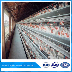 Jaulas de aves de corral <span class=keywords><strong>para</strong></span> la venta <span class=keywords><strong>para</strong></span> la capa de cría - Product Image 5