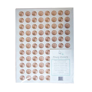 Etichette Adesive per Monete Americane (Penny, Dime, Quarter) per l'Insegnamento in Classe e a Casa - Product Image 3
