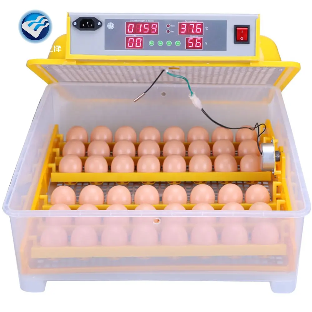 Incubateur d'œufs de canard pour œufs, couveuse avec 48 œufs