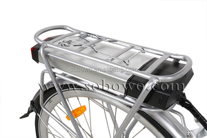 Vélo électrique familial en vente chaude, vélo électrique de ville 48v, vélo électrique pour femmes, vélo électrique de plage 250w, vélo électrique de ville pour adultes - Product Image 4