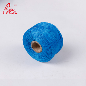 <span class=keywords><strong>2025</strong></span> vật liệu mới PE <span class=keywords><strong>twine</strong></span> xây dựng nhựa <span class=keywords><strong>twine</strong></span> PE dòng <span class=keywords><strong>twine</strong></span> - Product Image 4