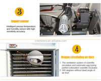Vente directe d'usine, grande couveuse commerciale à vendre, prix bas, contrôleur, couveuse à poussins Master Incubator Xm-18 HHD