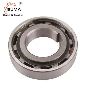 AS45 TSS45 NSS45 Ruota Libera Frizione Un Modo Roller Ball Bearing per Riduttori