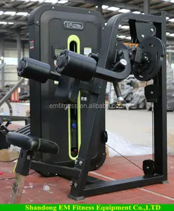 Shandong EM Professional Fitness Equipment/Gym Machine Lateral Raise price for sales