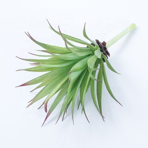 <span class=keywords><strong>Mini</strong></span> Plantas Suculentas Artificiales de Plástico Verde para Interiores - <span class=keywords><strong>Agave</strong></span> Ecológico y Duradero para Decoración del Hogar - Product Image 4