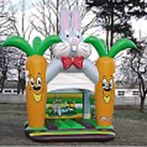 12 persone gommone doppio scorrevole di acqua gonfiabile casa di rimbalzo - Product Image 5