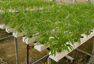 Hidropónicos NFT creciente canaletas para sistemas invernadero comercial - Product Image 6