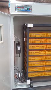 Nhà máy lớn giá 2000 tự động lồng ấp trứng/2112 gà lồng ấp trứng để bán - Product Image 2