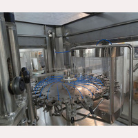 Projet clé en main complet de A à Z petite ligne de Production de remplissage de jus d'embouteillage prix de la Machine