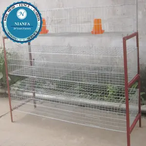 Cage de volaille galvanisée de haute qualité pour poulet, 200 m, couche de poulet, fabricant, pré-assemblée