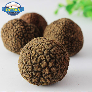 Detan <span class=keywords><strong>trufa</strong></span> negra <span class=keywords><strong>salvaje</strong></span> seta fresca - Product Image 1