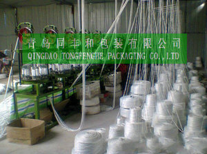 Ensilaje heno <span class=keywords><strong>guita</strong></span> <span class=keywords><strong>cuerda</strong></span> PP - Product Image 3