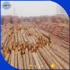 2019 NEW Top on sale woo dpine logs yellow pine logs