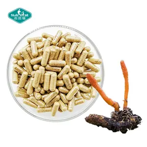 Personalización personalizada etiqueta privada suplementos alimenticios Ginseng Cordyceps Sinensis cápsulas OEM