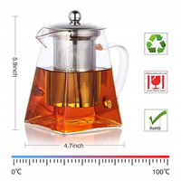 Bouilloire à thé en verre borosilicate transparente PSC, écologique et innovante, avec infuseur amovible en acier inoxydable
