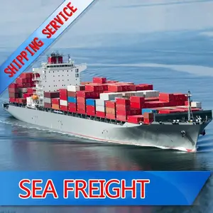 Best international shipping ningbo to miami departure: china fast speed safty A+