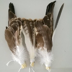 Bán Hot Big Rare <span class=keywords><strong>Eagle</strong></span> Tail Feather Cho Trang Phục Và Mũ Nón - Product Image 6