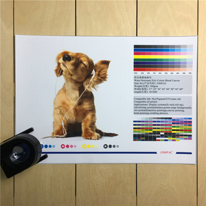 380gsm algodón imprimible Inkjet <span class=keywords><strong>Canvas</strong></span>, blanco lienzo <span class=keywords><strong>de</strong></span> inyección <span class=keywords><strong>de</strong></span> tinta <span class=keywords><strong>de</strong></span> papel para impresión Giclee - Product Image 2