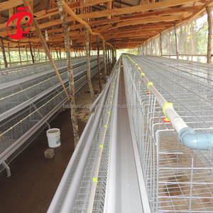 A Type Poultry Farming 3 Tiers <strong>Cheap</strong> Layer <strong>Cage</strong> Battery Chicken <strong>Price</strong> <strong>Cages</strong> in Algeria - Product Image 2