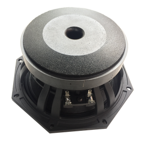 Modèle BNC de Type 8/10/12 pouces, haut-parleur PA à basses, stéréo, système de haute Performance - Product Image 3