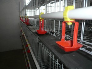 <span class=keywords><strong>La</strong></span> ferme de volaille automatique poulet couche cage, En plastique chicken coop à vendre - Product Image 2