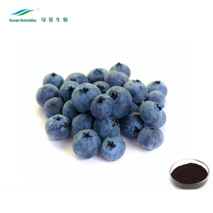 1 kg Heidelbeerblattextrakt, lateinischer Name: Vaccinium Myrtillus - Product Image 2