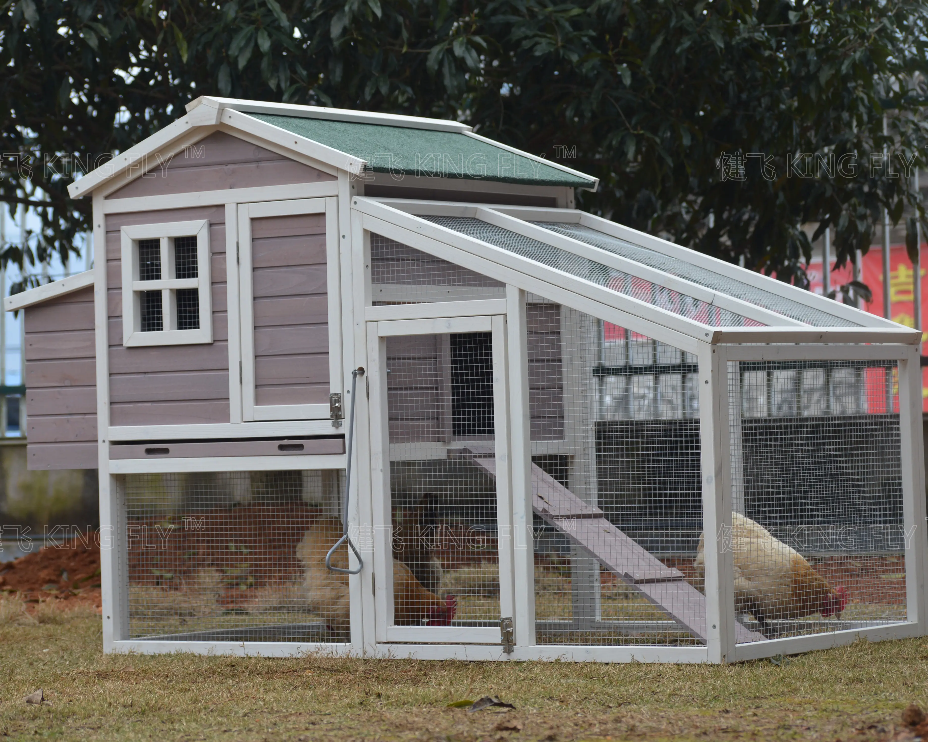 Opening Asphalt Roof Automatic Chicken Cage with Extra Run