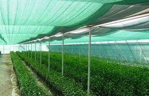 2019 Hot Selling 100% HDPE Agriculture Green Shade Net For Greenhouse