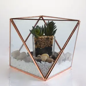 Vase de terrarium en forme de pyramide, avec des plantes géométriques, nouveau produit, vente en gros