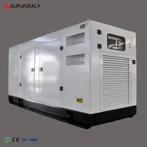 10KVA-20KVA kleine altra super stille diesel generator set voor thuisgebruik