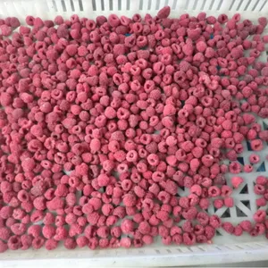 Fruits de raspberry glacée, livraison en chine, meilleur prix, iqf