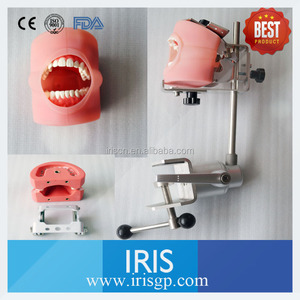 Costo effictive cabeza fantasma simulador Dental Nissin maniquí con transparente - Product Image 1