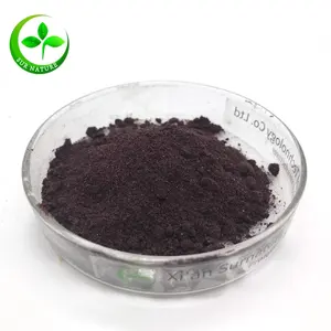 中国供应商冷冻干 acai 浆果粉/acai 浆果粉巴西