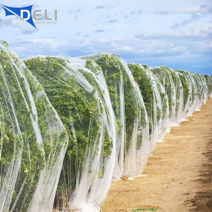 Wholesale plastic Anti insect net for agriculture