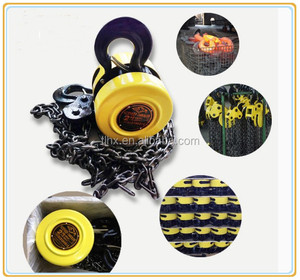 Giá rẻ nhãn ròng rọc 30 tấn palăng xích - Product Image 6