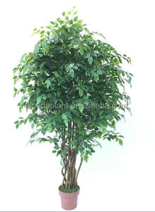 2017 Venta Caliente de Plata de La Decoración de Interior <span class=keywords><strong>Bonsai</strong></span> Ficus Artificiales - Product Image 3