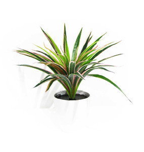 <span class=keywords><strong>En</strong></span> plastique artificielle grand vert <span class=keywords><strong>quitte</strong></span> la <span class=keywords><strong>maison</strong></span> décoration artificielle feuilles - Product Image 6